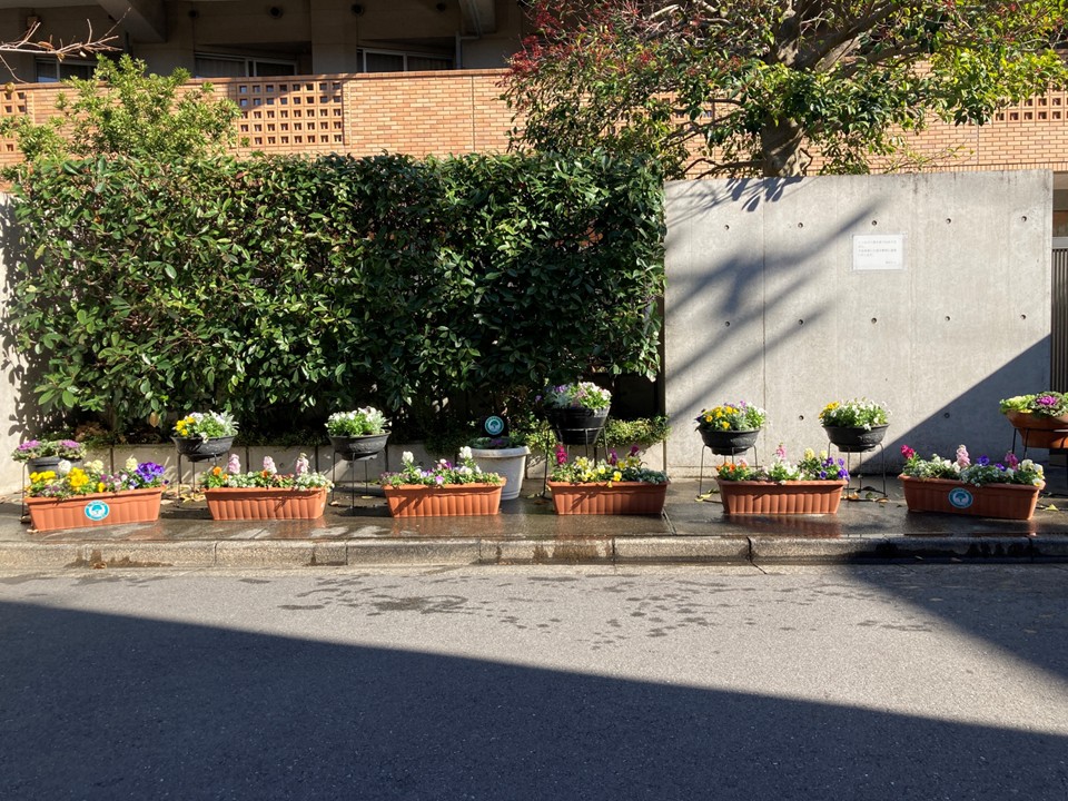 秋に球根を植えたり、お花の苗を植えていただいたものがきれいに咲いています。<br>今年もいろいろなお花を楽しませていただきました。<br>今年も大変お世話になりありがとうございました。<br>