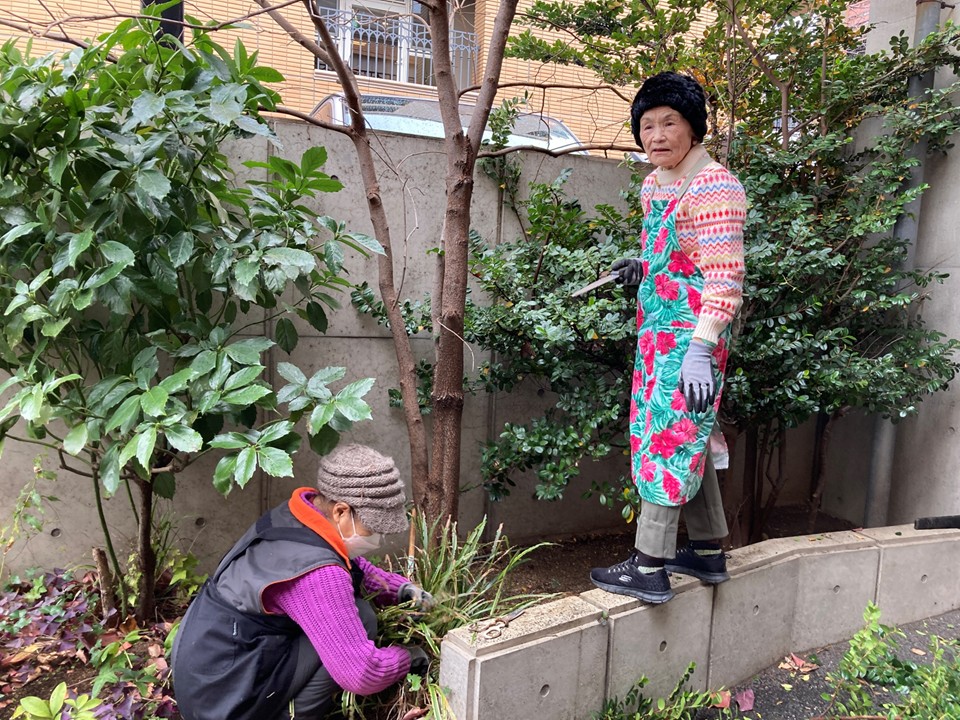 なんと高い所に上って、のこぎりで小枝を払ったり、<br>大量の落ち葉を集めてくださいました。<br>みなさまとても慣れた手つきで切って下さいました。<br>