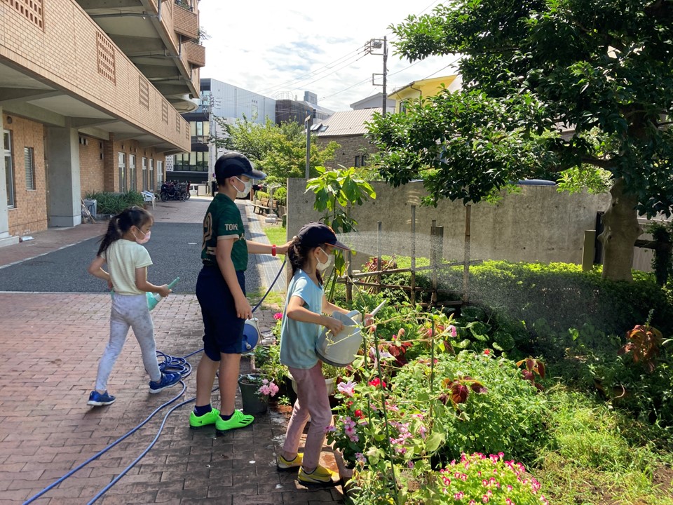 お子さんたちは、楽しかったそうで、よそに行っても植物に目が止まり、<br>「ここは水をあげてないね」と目が行くようになったとお母さんが話されていました。<br>みんなで仲良く一生けん命水まきをやって下さり、すばらしいと思いました。<br>コロナが早く収まって、今度は直接ご利用者とお話をしていただけるといいなと思います。<br>