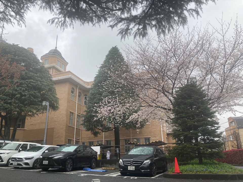 冷たい雨が桜の花に降りかかる4月1日、<br>聖母病院の大聖堂で聖母病院とホームの合同就職感謝式が行われました。<br>