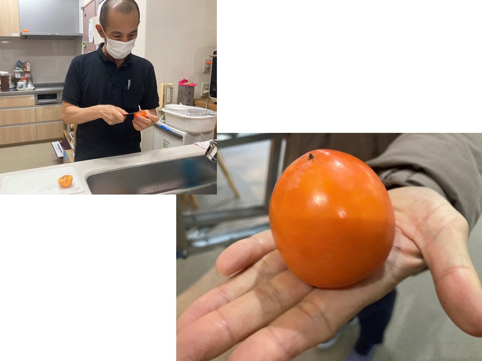 これは甘柿だろうか、それとも渋柿だろうかと楽しみながら皮をむき、<br>みなさんにお出しする前に「どれっ」と味見をしたとたん、<br>口の中が渋だらけでとんでもないことになりました!<br>そしてあまりの渋さに絶句してしまいました。<br>