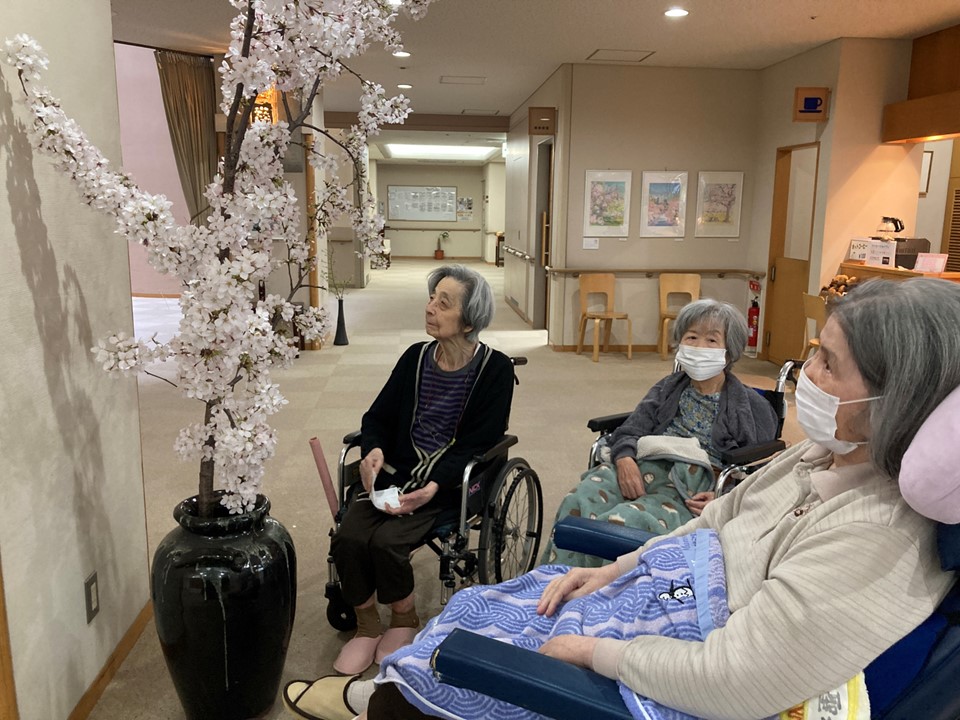 「これ本物?」<br>「壺とうまく合っているわ!」<br>「すてきですね。」<br>「♪さくら ♪さくら ♪弥生の空は見渡す限り~と歌うひと…」<br>「立派だわ。」<br>「またこんなに桜が見られるとは思わなかったわ。」<br>「こんな立派なのはなかなか見られないわ。」<br>