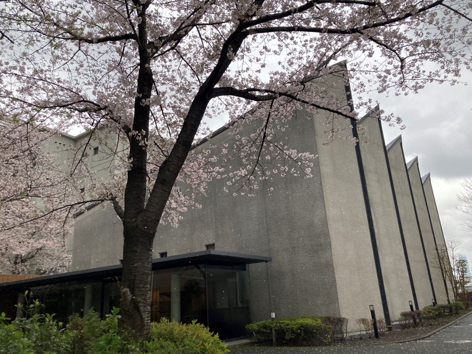 桜の花がほぼ満開となった4月1日、聖母病院の大聖堂で
病院と合同の就職感謝式が行われました。