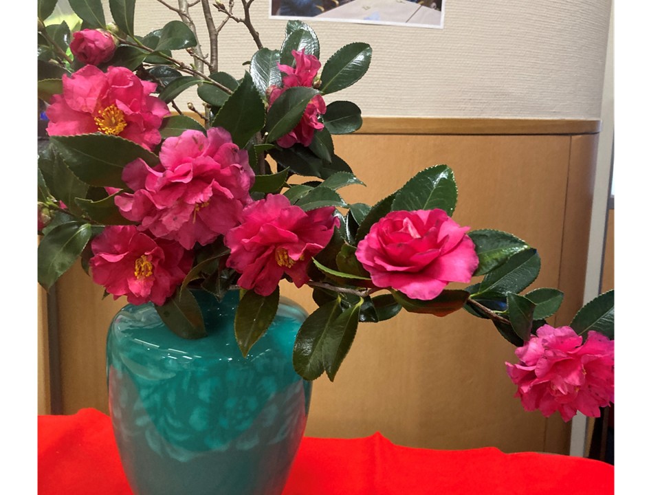 １月２０日グループホームでは初釜を行いました。
職員が椿の花を飾り、お琴の音色を流しながらお茶を点てました。